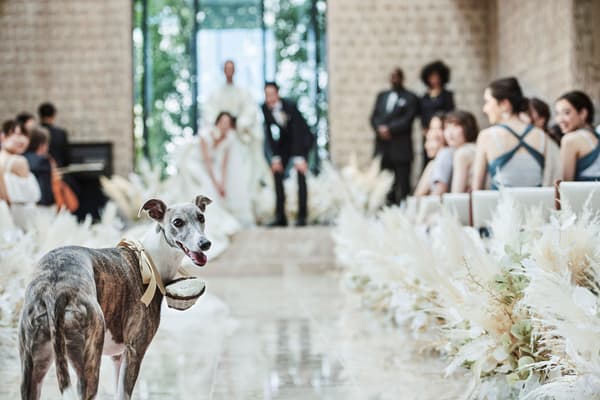 Kimpton Shinjuku Tokyo 婚禮場地