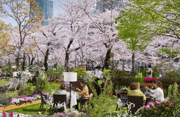 ROKU MIDTOWN BLOSSOM LOUNGE 图片