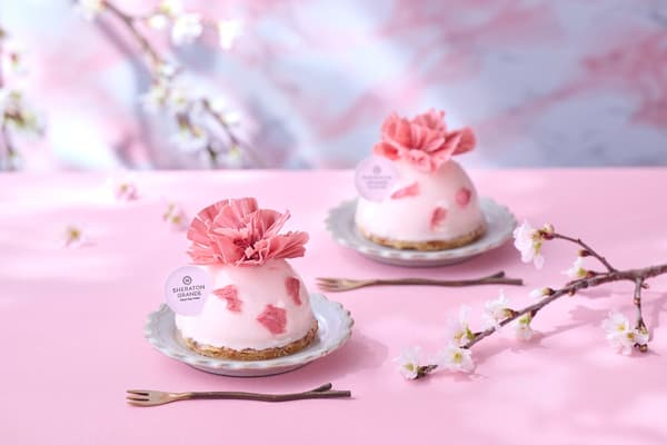 Cerisier rare cheesecake