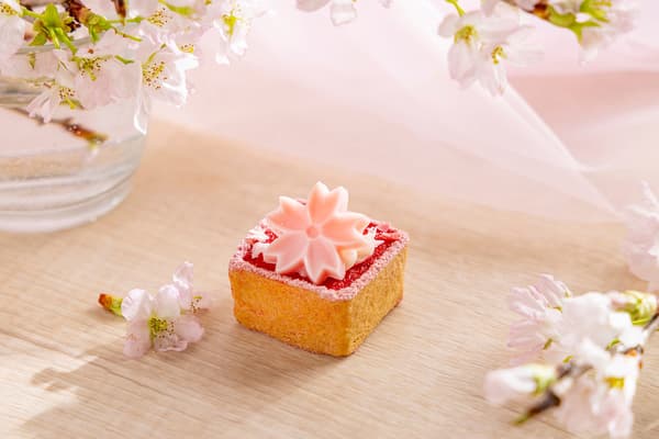 티라미수 스타일 타르트