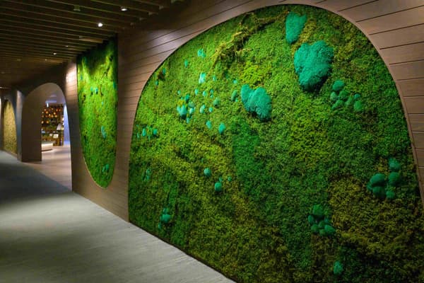 大廳區域寬達8.5公尺的「苔蘚藝術牆」