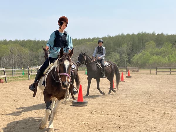 孩子們在新雪谷享受騎馬樂趣