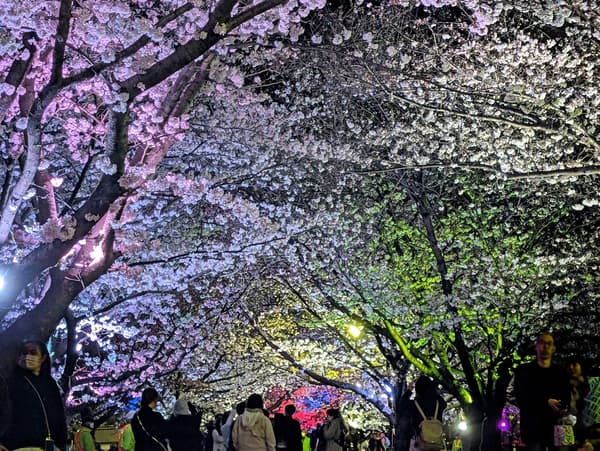 Escena de la Parte 2