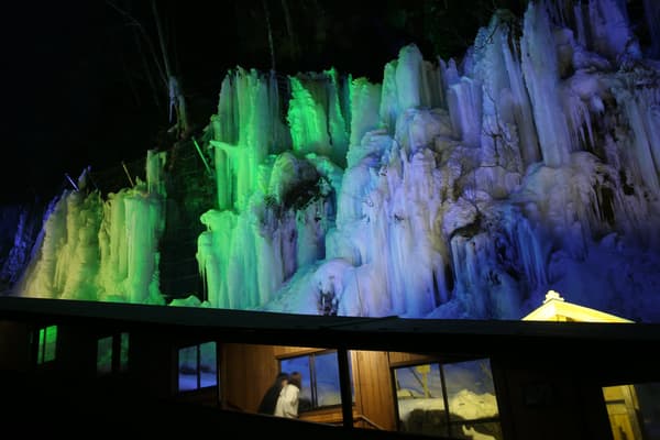 Ganador del gran premio del Concurso de Fotografía de 2023