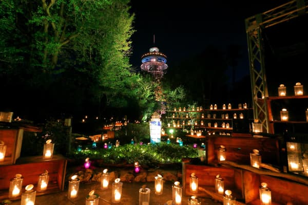 Shonan Candle (Autumn)