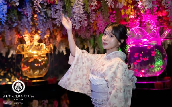 Kimono experience at Art Aquarium Museum