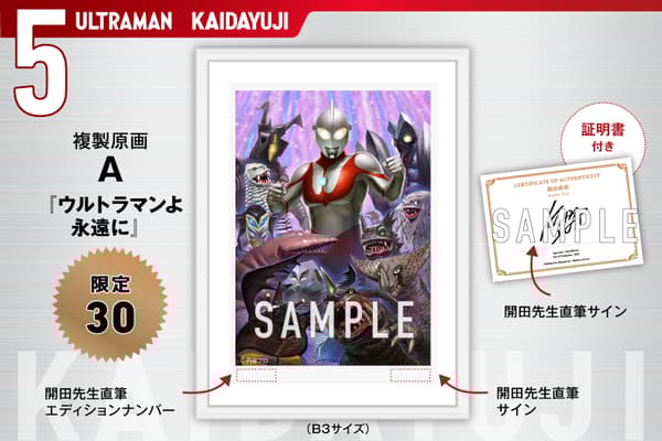 ⑤ Limited 30: Original Replica Artwork A 