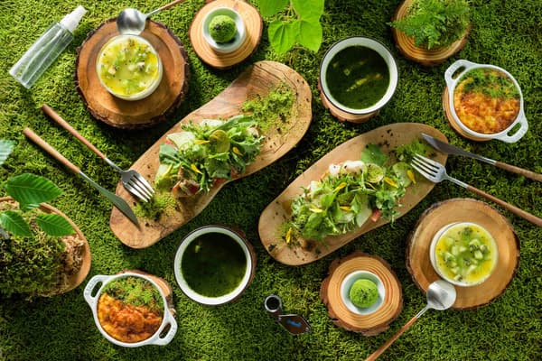 限苔玉套房住客享用的「苔蘚晨食」