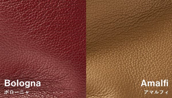 融合优雅和多功能性的新颜色