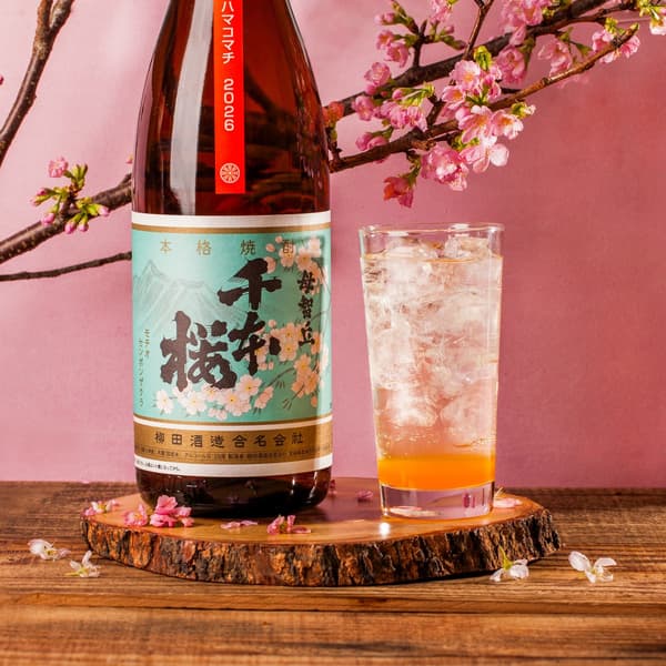 Thousand Cherry Blossoms Satsuma Mandarin Orange Sour