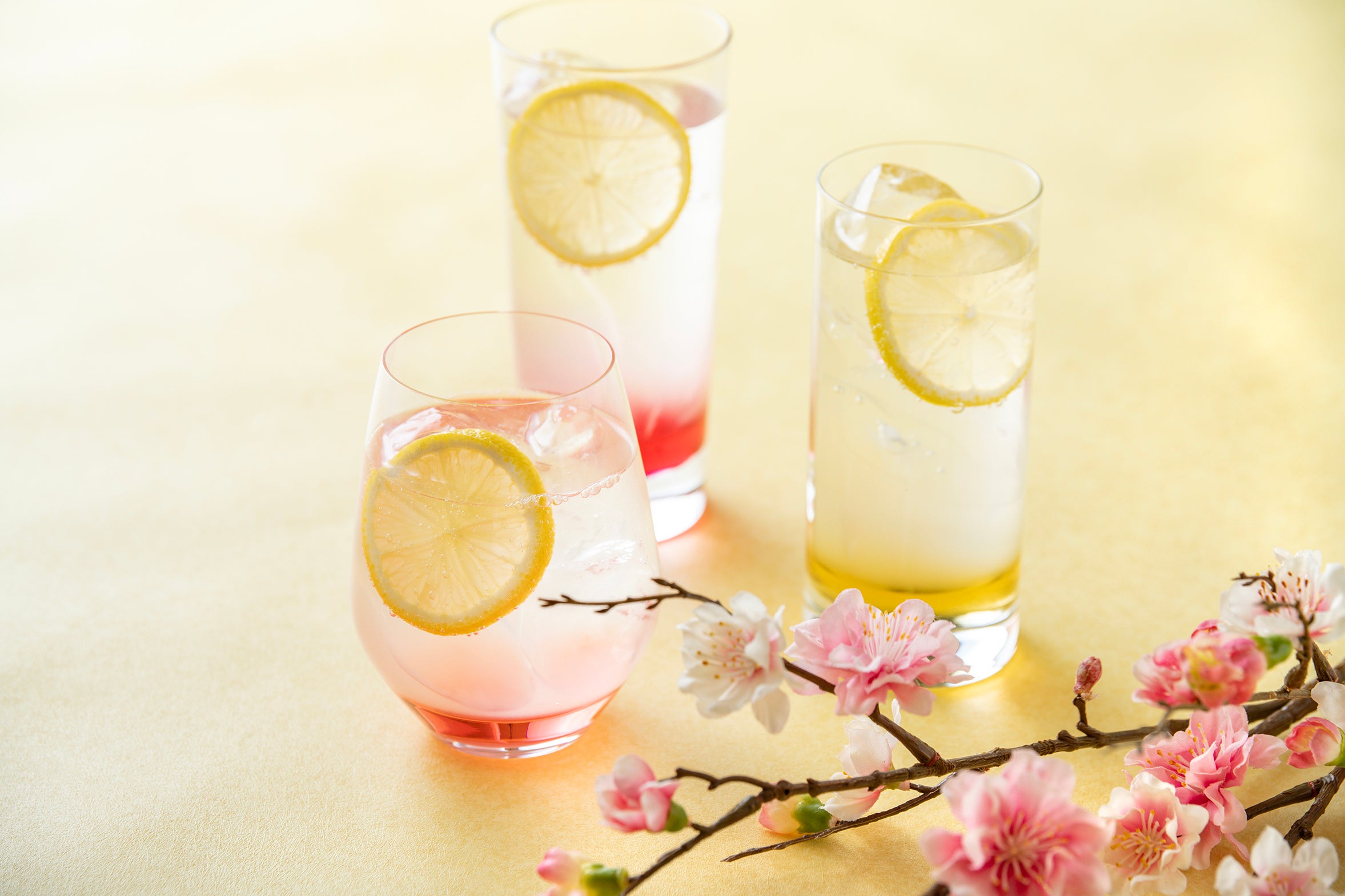 스프링 스쿼시 음료