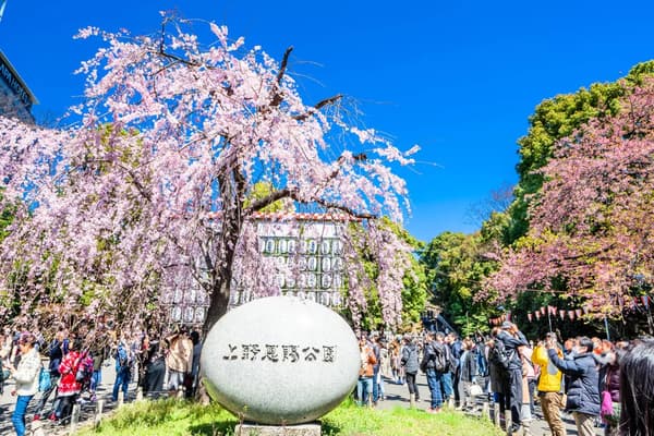上野公園 （上野恩賜公園）