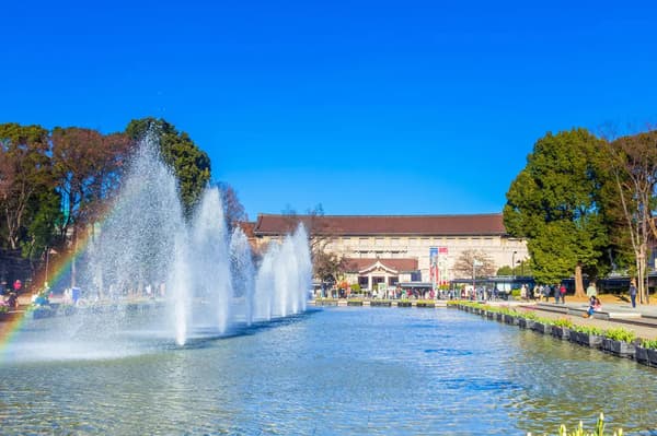 The fountain