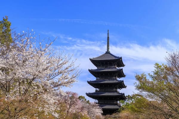 Kyoou Gokokuji Temple