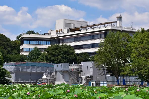 Tienda principal de Seiyoken