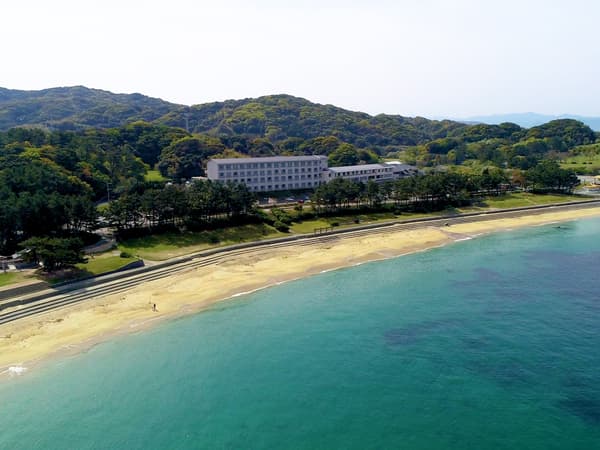 ดาบปลาและหัวไชเท้า mille-feuille