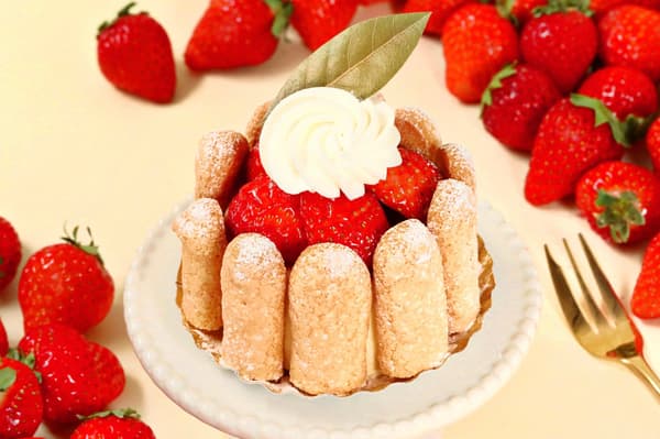 Strawberry Charlotte