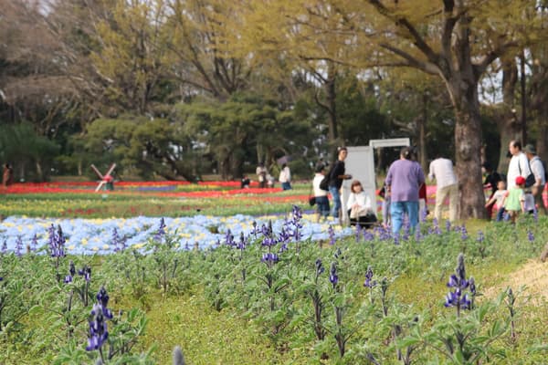 Pengunjung menikmati fotografi