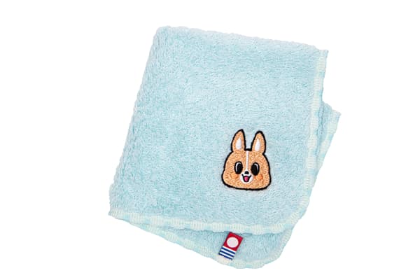 Campaign prize image