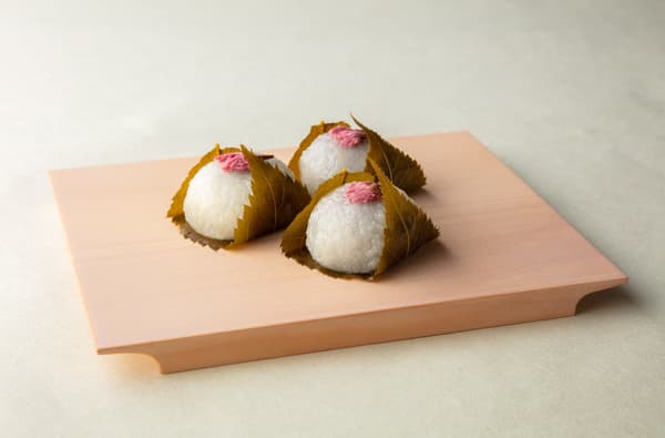 모토 기초안 사쿠라모찌