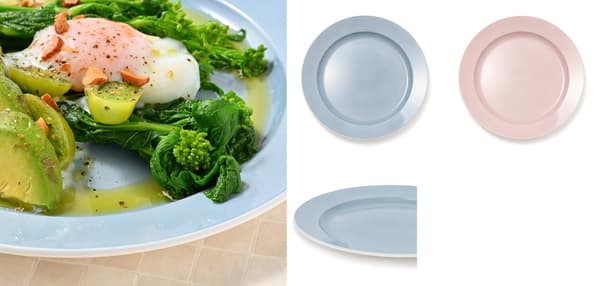 勝手 ni Healthy 大平盤 L——藍色與粉紅色款