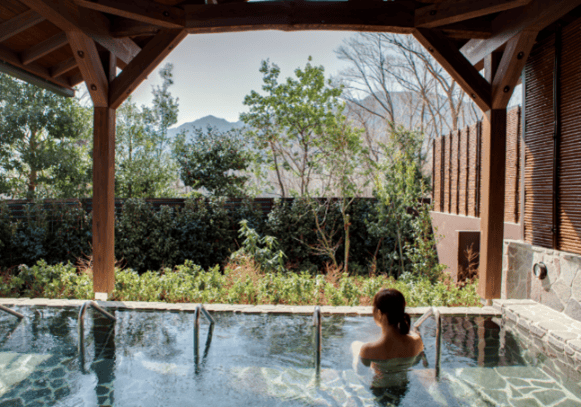 Sagamiko MORI MORI cherry blossoms