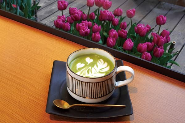Matcha Latte - 620 yenes (CALIENTE)