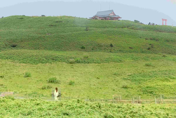箱根神社第五鸟居附近的步行道和石阶