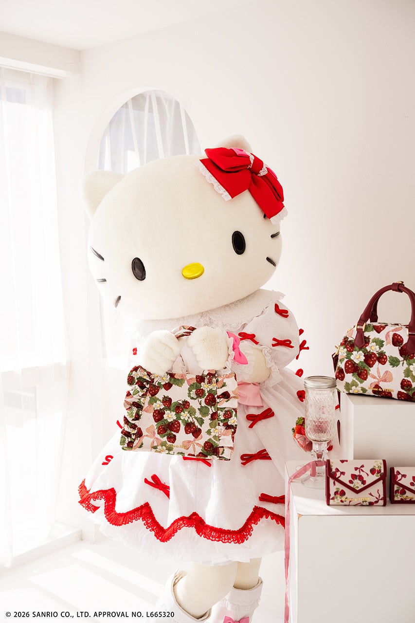 Hello Kitty collaboration look 2