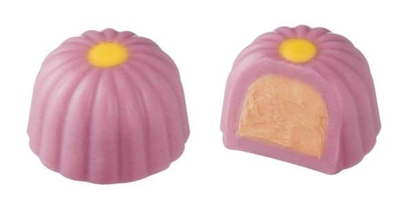 라즈베리 플라워 가나슈