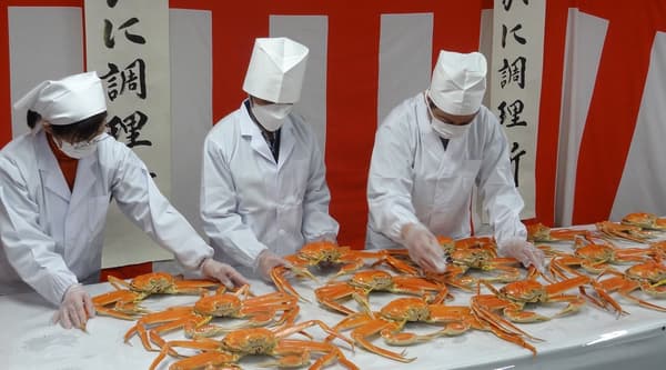 Preparation scene before shipping the imperial offering Echizen crab at Daimaru Suisan in February last year