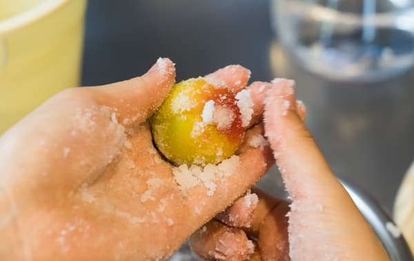 Freshly harvested Kishu Nanko plums from Wakayama