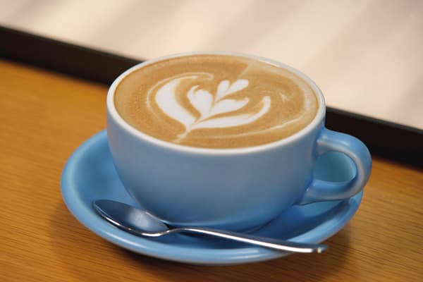 Cafe Latte (PANAS / Campuran Nemophila)