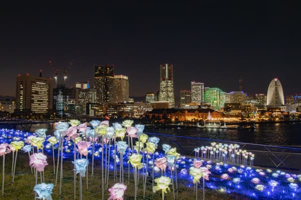 Yokohama Port Photogenic Illumination 2025