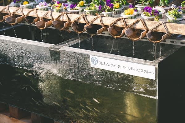 Sistem budidaya akuaponik