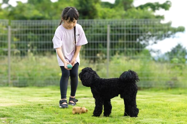 Family enjoying the private dog run