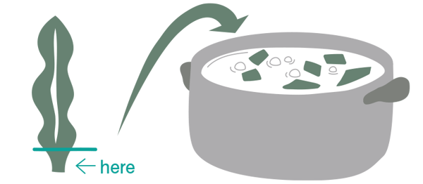 Oboro konbu off-cuts used for konbu water