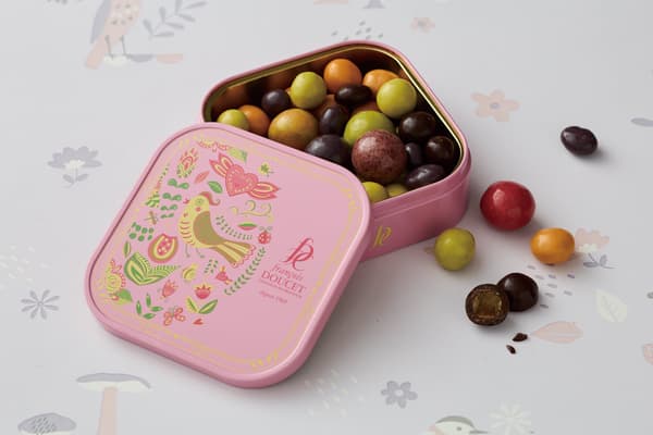 Francois Doucet Melange de Chocolat Fruite