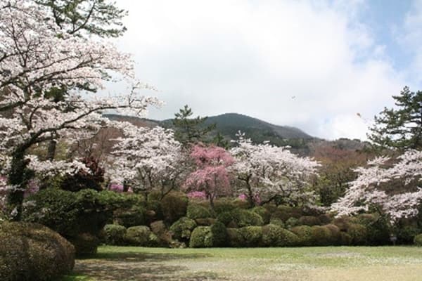 Hakone Kowakien Horaien