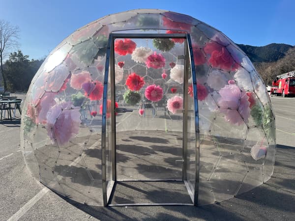 Cherry blossom dome photo spot