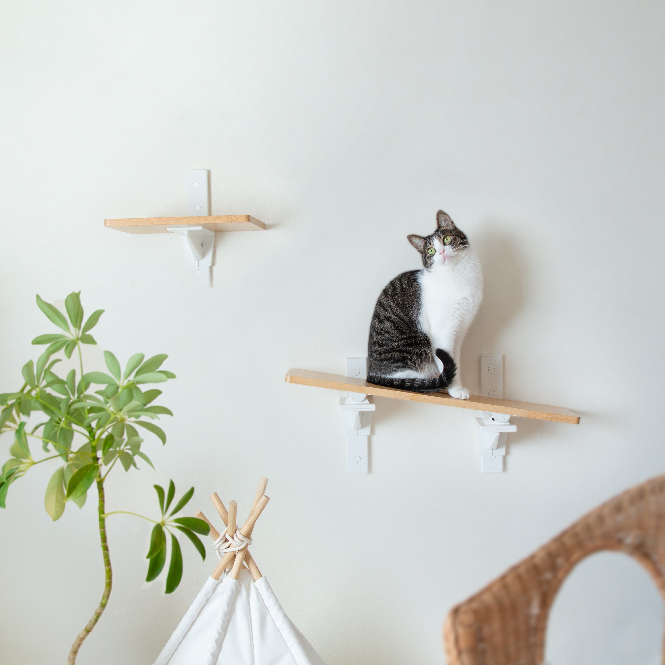 ตัวเลือกการปรับแต่งรูปแบบ