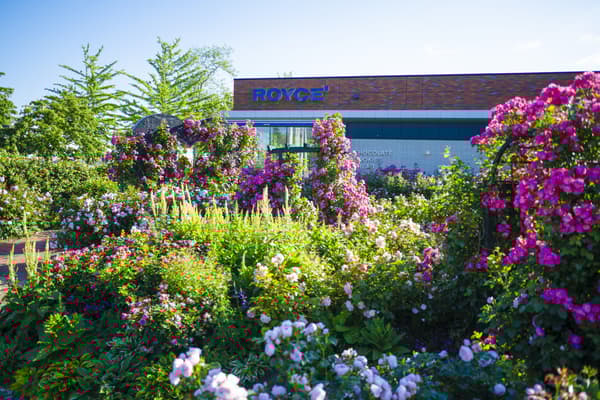 ROYCE' Rose Garden ROYCE' Town Factory