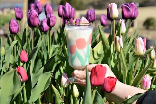 Té con leche de avena