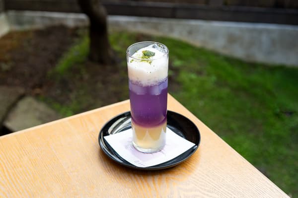 Kuzumochi Lactobacillus Fuji Soda