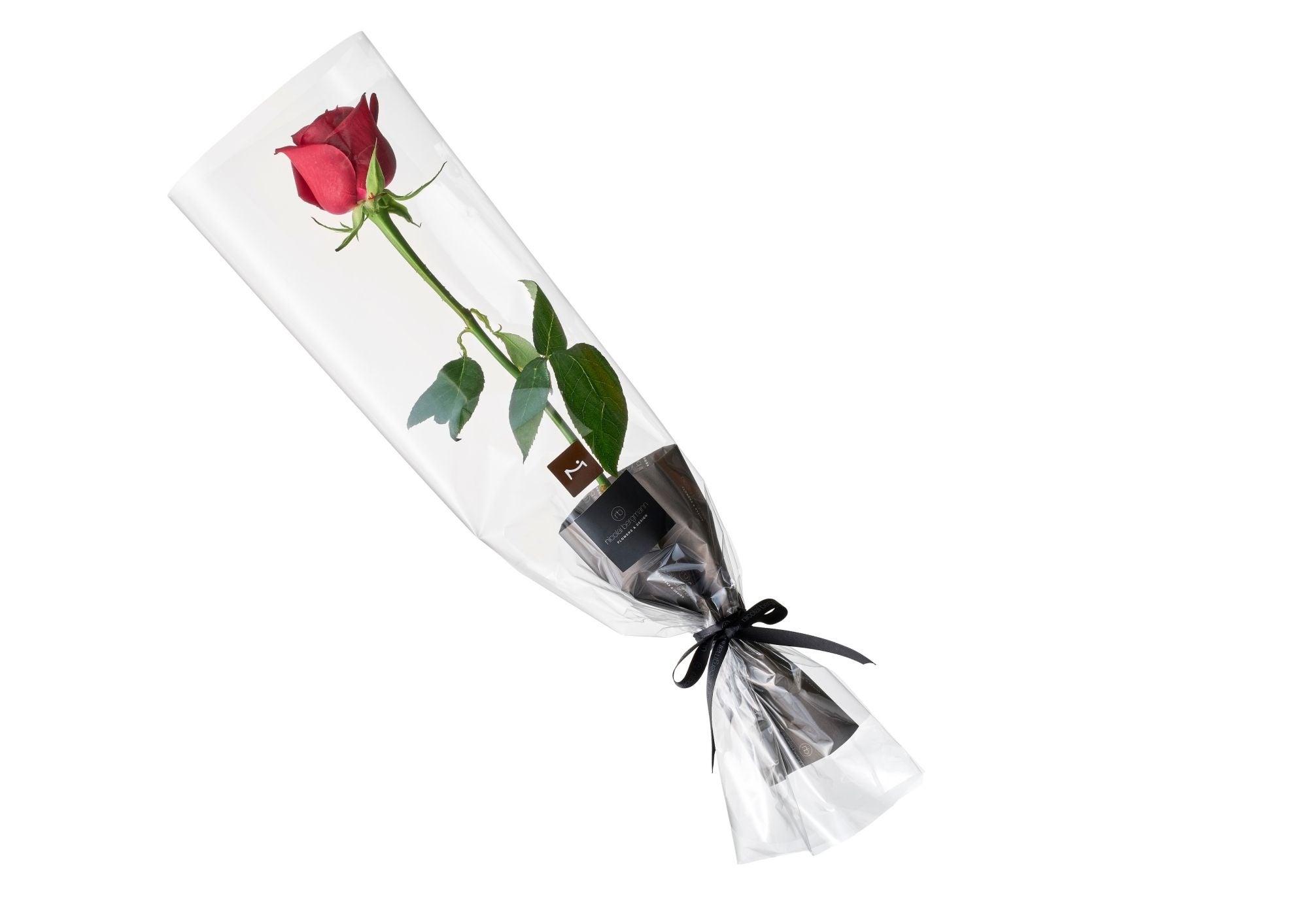 情人节玫瑰礼品