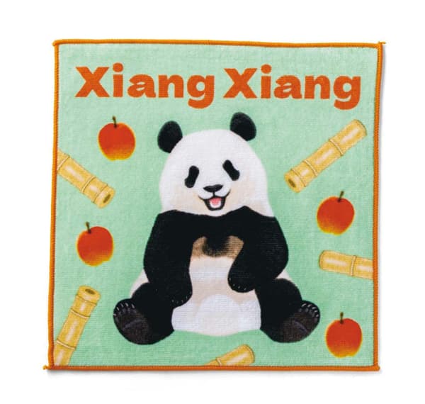 Xiang Xiang Design