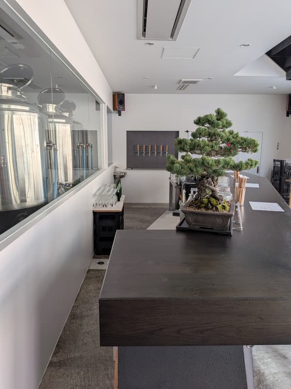 Imagen del evento de gran inauguración