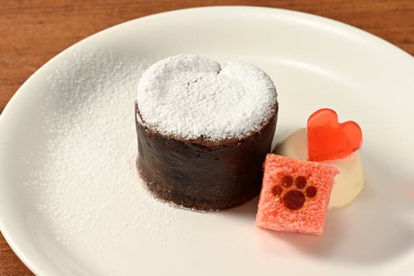 Fondant chocolate