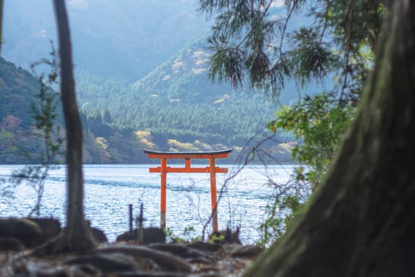 驹岳山顶通往箱根元宫的步行道