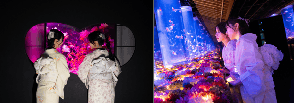 Exposición Flower Aquarium Gala